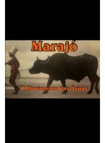 Marajó: A Origem das Águas