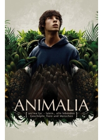 O Reino Animal