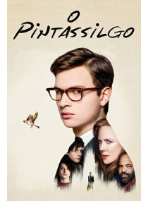 O Pintassilgo